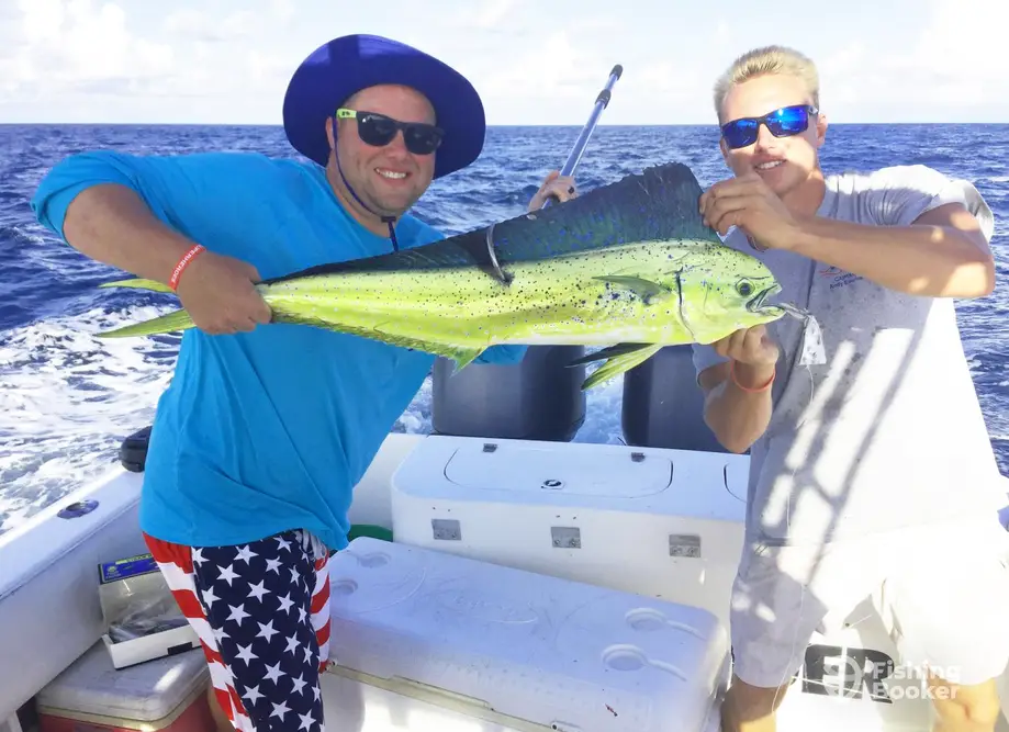 Southern Sportfishing charter image 6