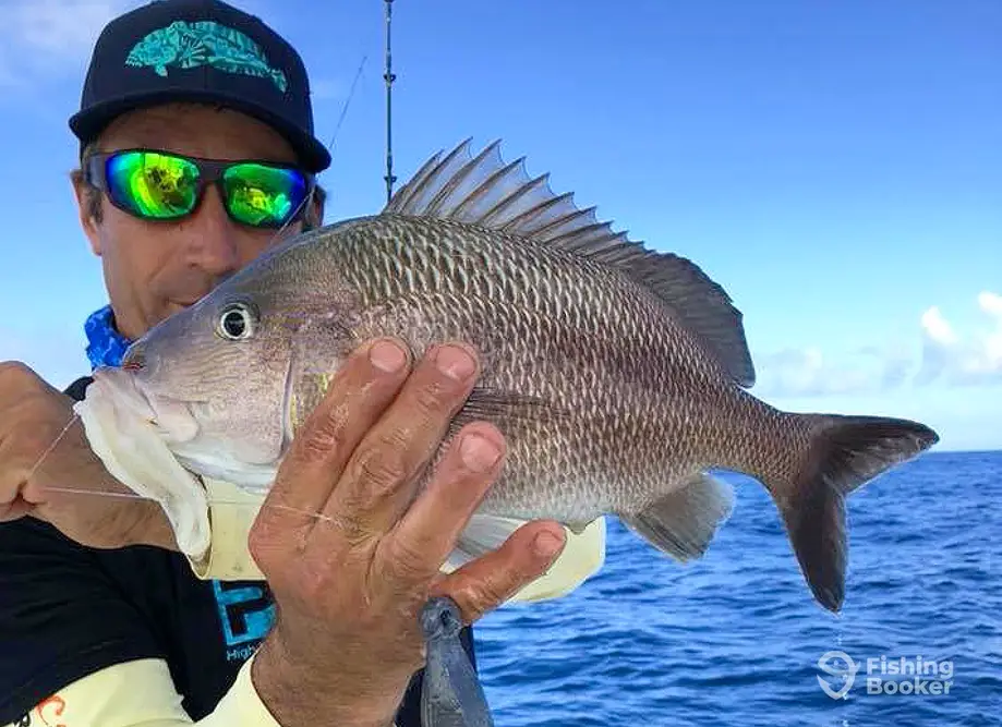 Write Off The Rip Charters – Inshore charter image 2