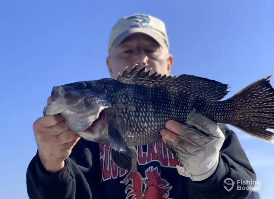 Write Off The Rip Charters – Inshore charter image 3