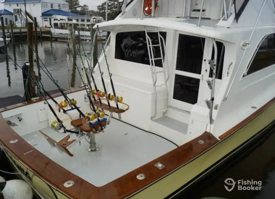 Carrisma Sportfishing charter image 2