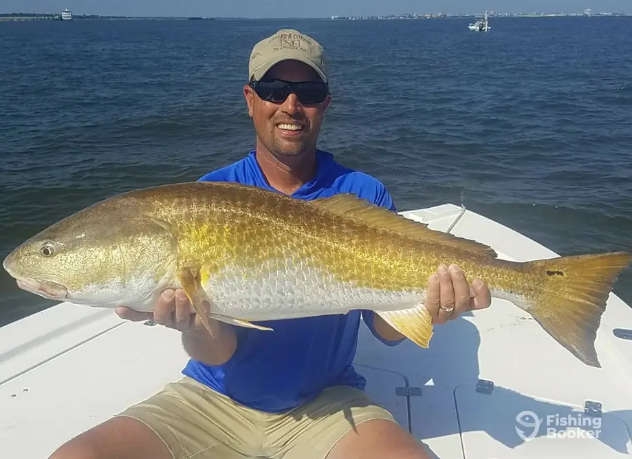 Salty Habit Charters