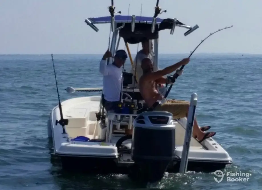 Inshore Fishing Charters charter image 3