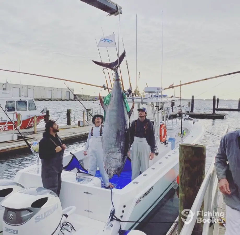 Pelagic Hunter II charter image 3