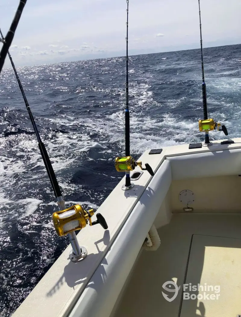 C-Legs Sportfishing charter image 6