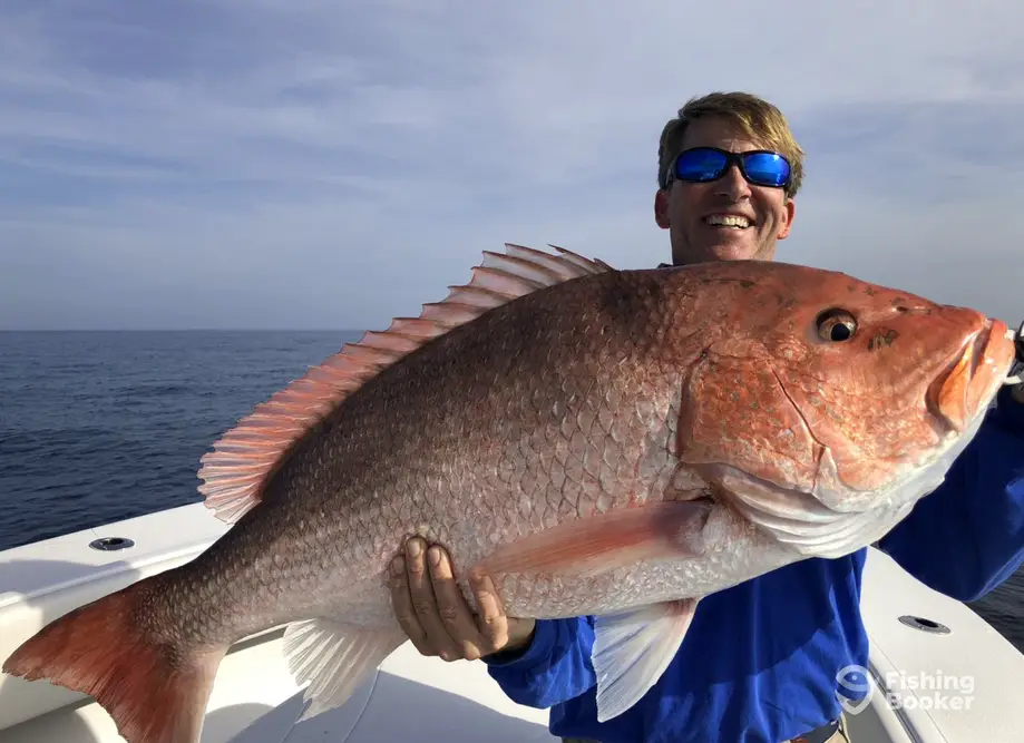 Charleston Inshore Charters LLC charter image 3