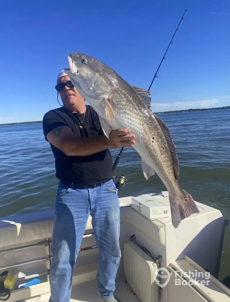 Fin-Seeker Charters
