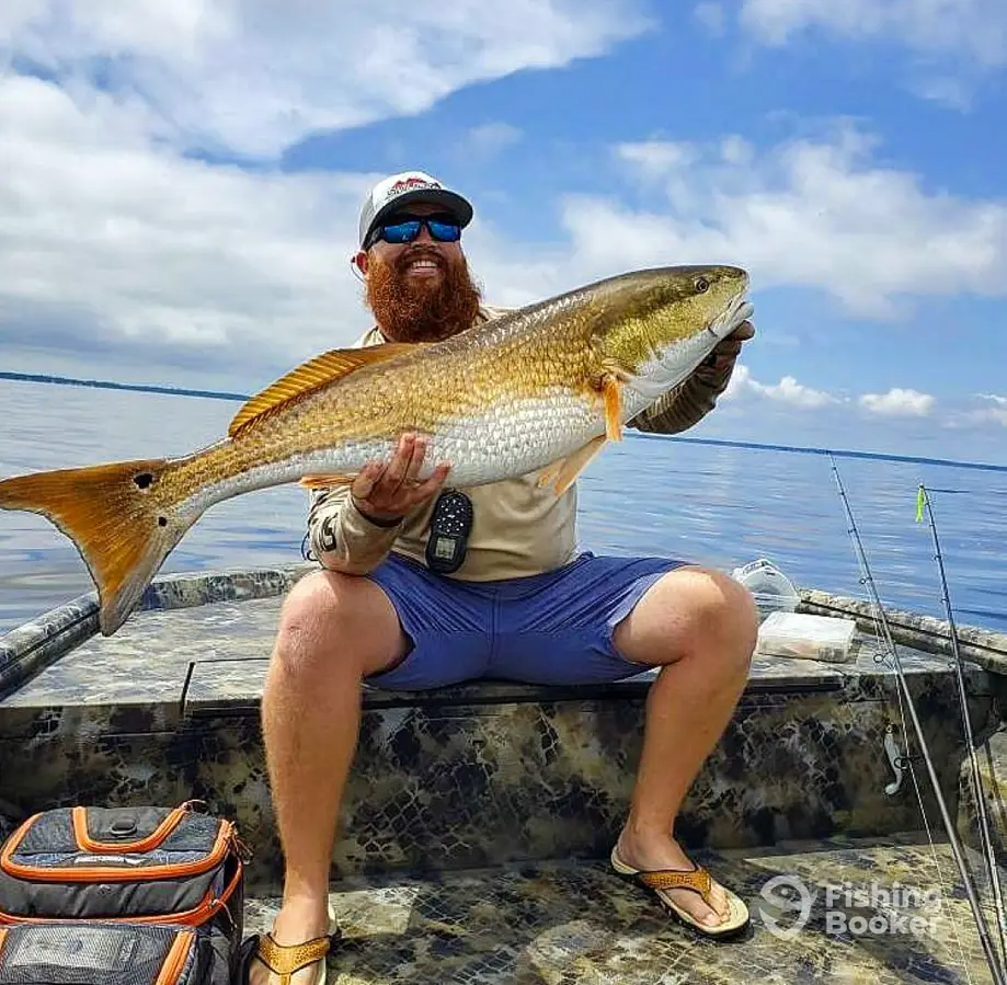 Top Predator Adventures charter image 4