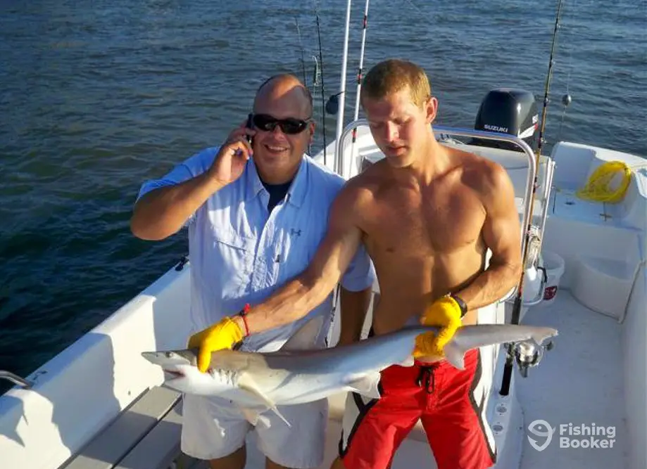 Family Shark Fishing & Dolphin Discoveries 1 charter image 4