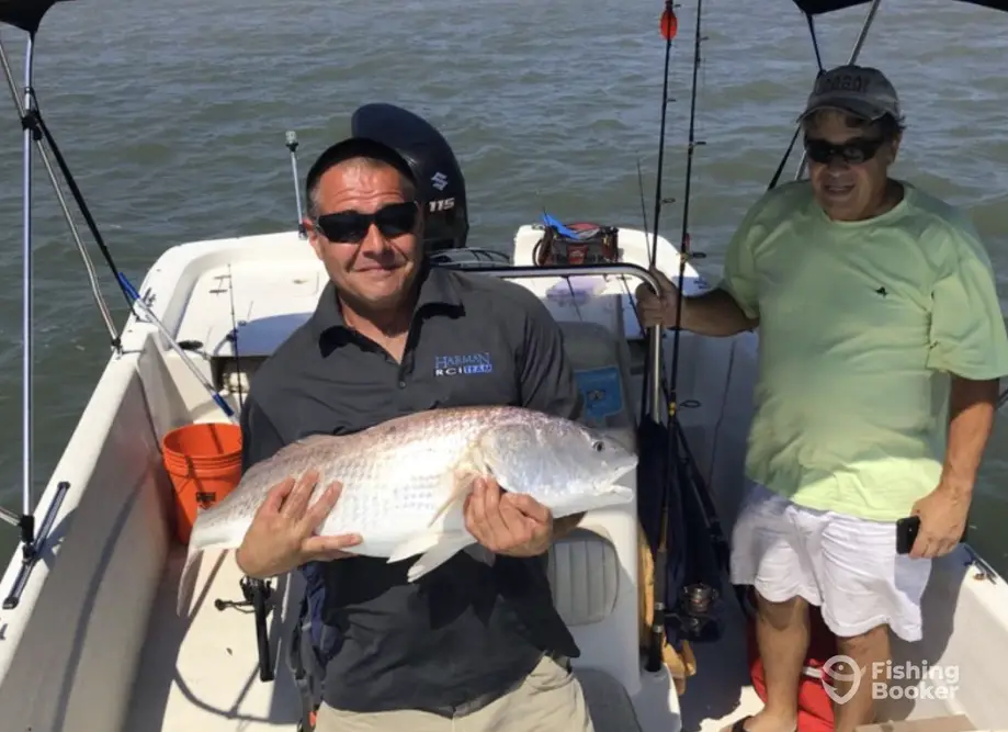 Family Shark Fishing & Dolphin Discoveries 1 charter image 5