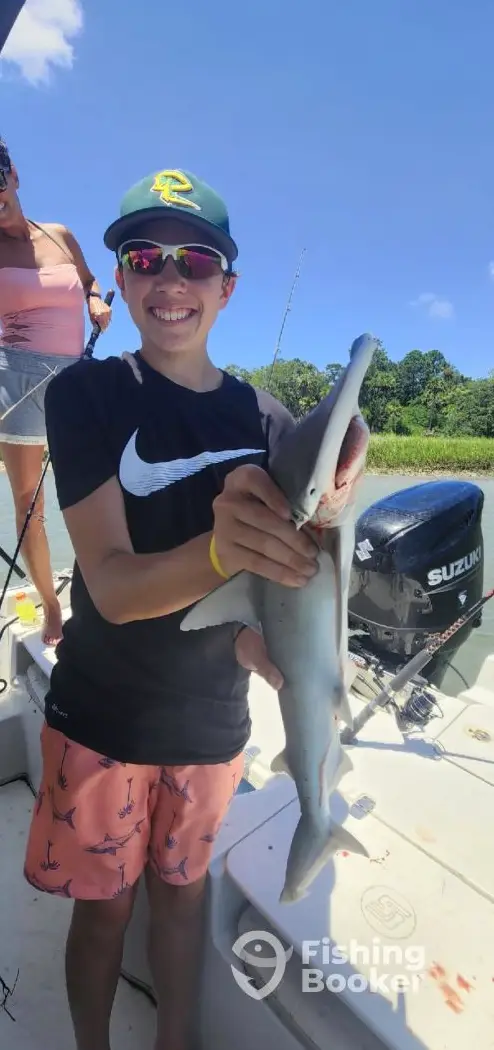 Family Shark Fishing & Dolphin Discoveries 1 charter image 6