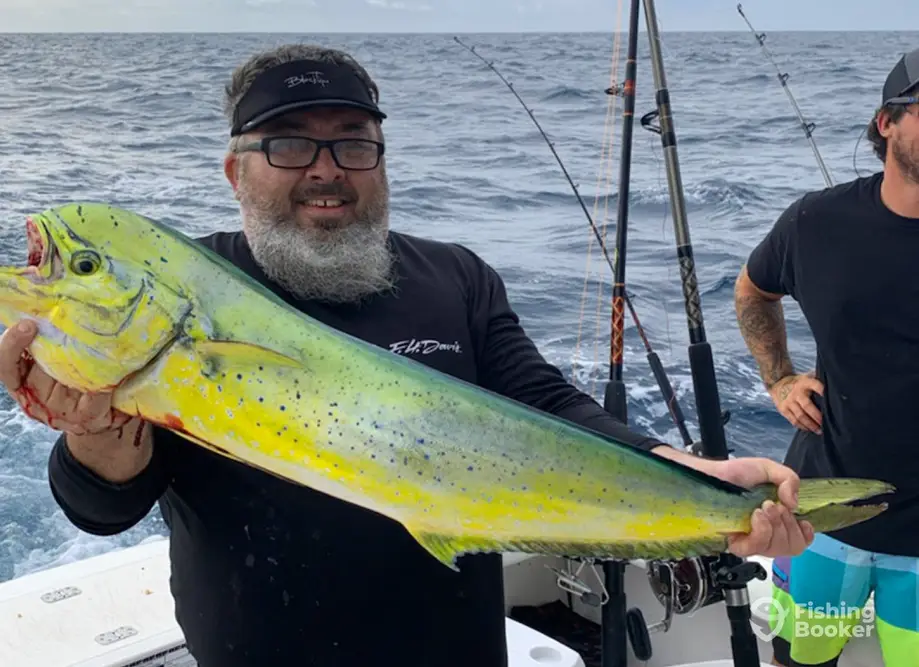 Flying Fish Charters SC