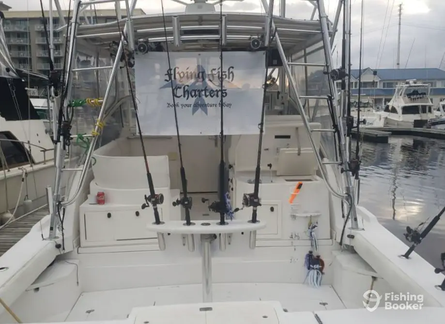 Flying Fish Charters SC charter image 2