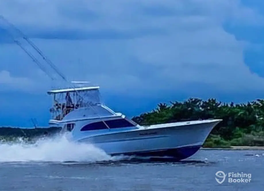 Blue Chip Sportfishing