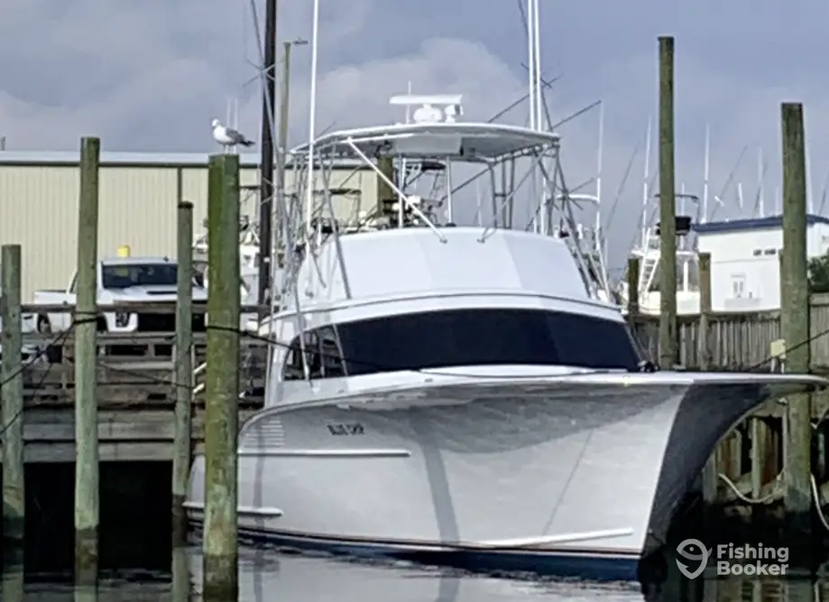Blue Chip Sportfishing charter image 2