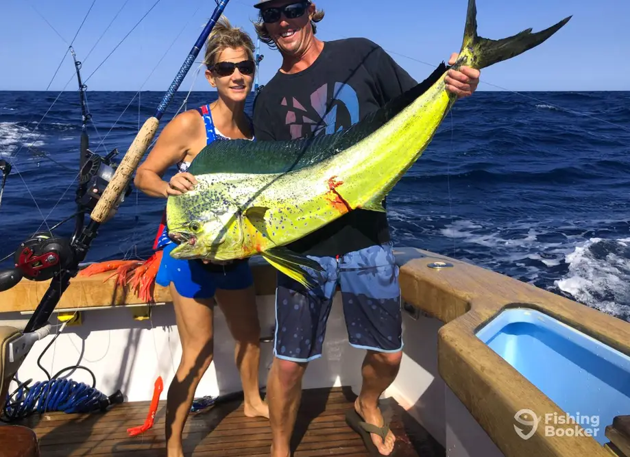 Blue Chip Sportfishing charter image 6