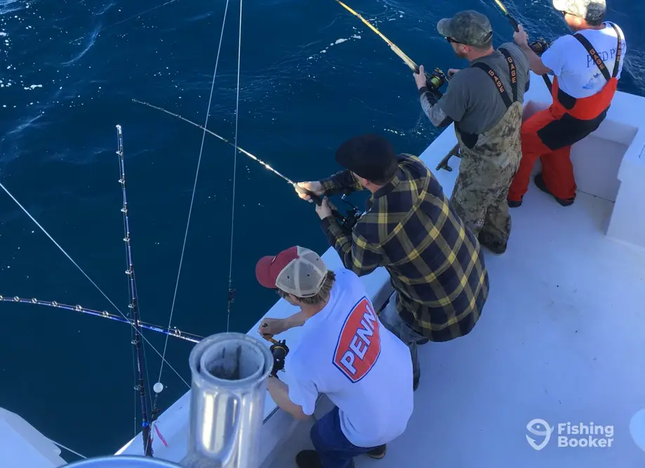 Runaway Sportfishing Charters – Hatteras charter image 2