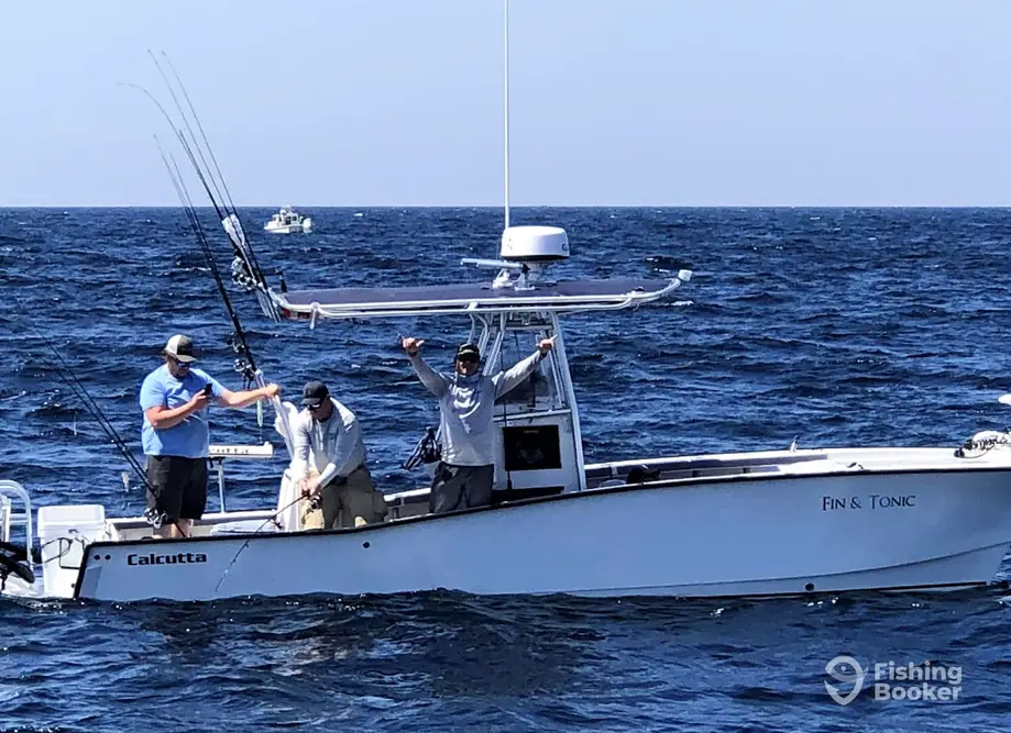 Fin & Tonic Charters
