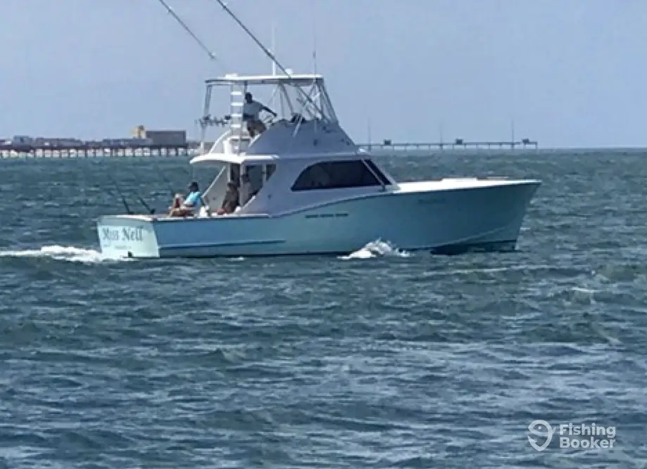 Miss Nell Sportfishing charter image 3