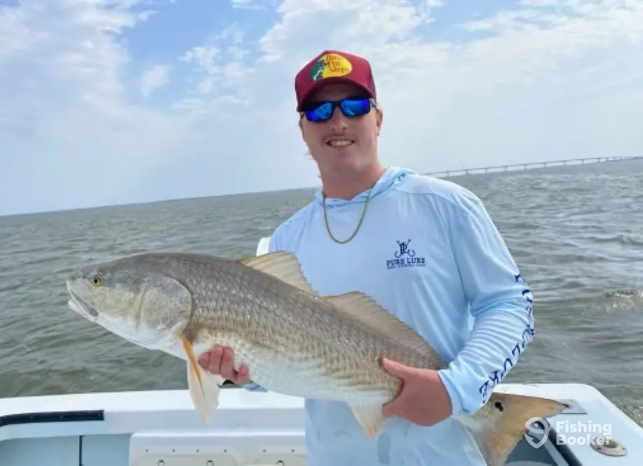 Shoal Rider Fishing Charters charter image 6