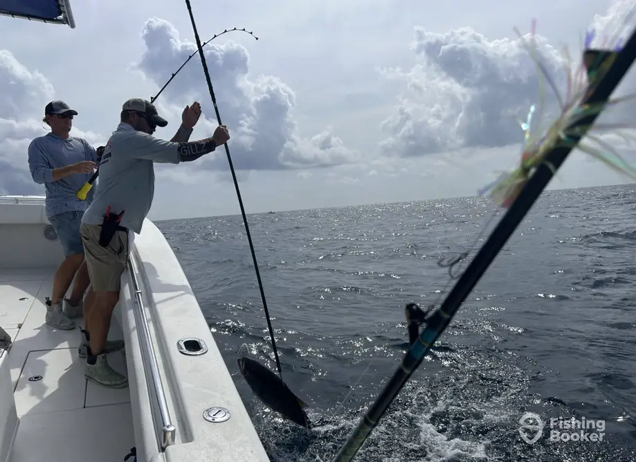 Low Country Offshore Fishing charter image 4