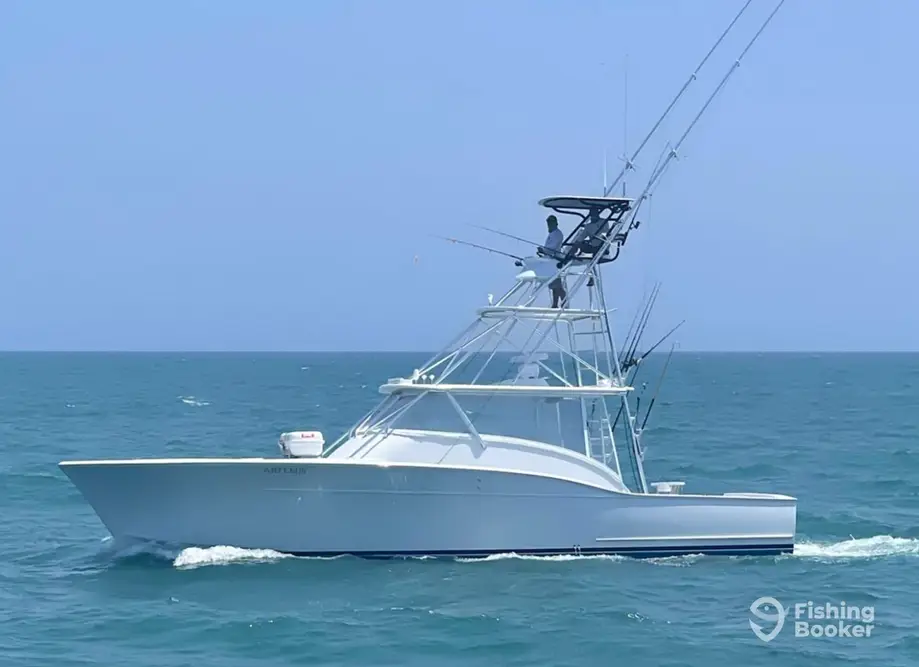 Artemis Sportfishing
