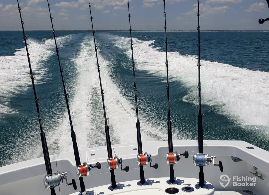 Artemis Sportfishing charter image 3