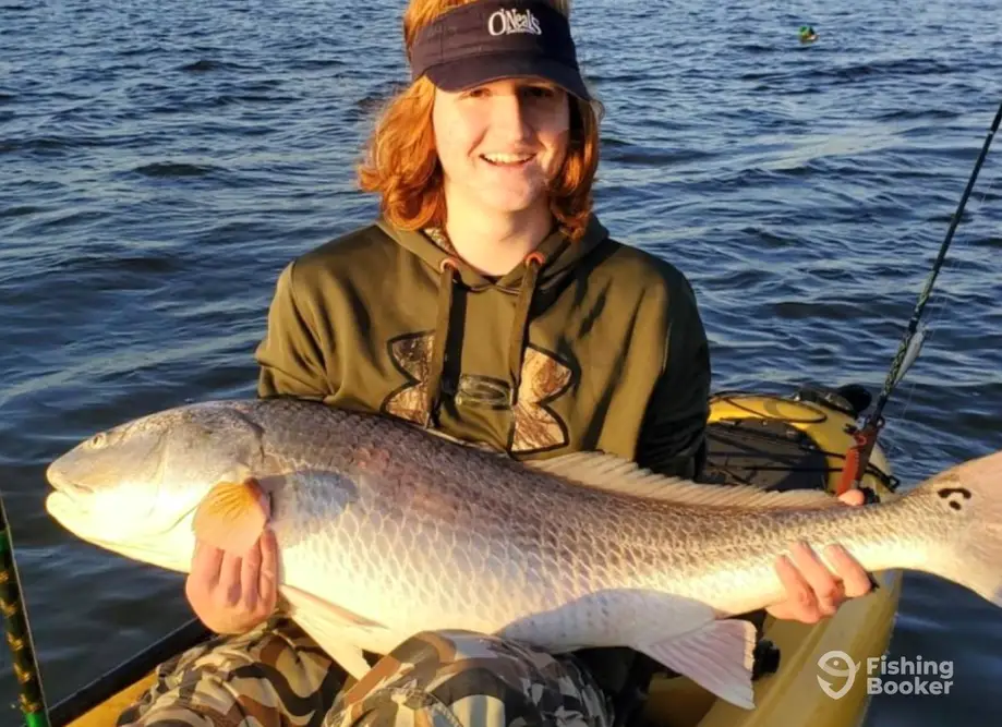 Dare Native Charters