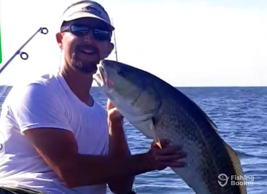 Dare Native Charters charter image 2