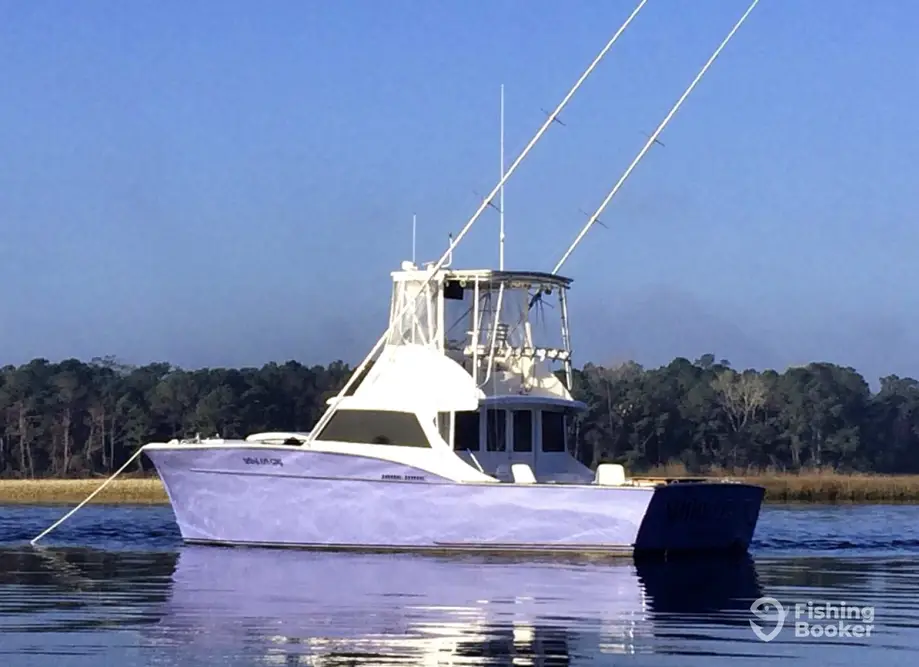 Shine Eye Girl OBX Charters