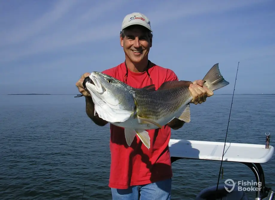 Hilton Head Inshore charter image 4