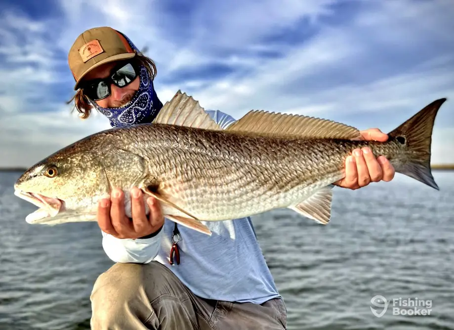 Due South Fishing Expeditions