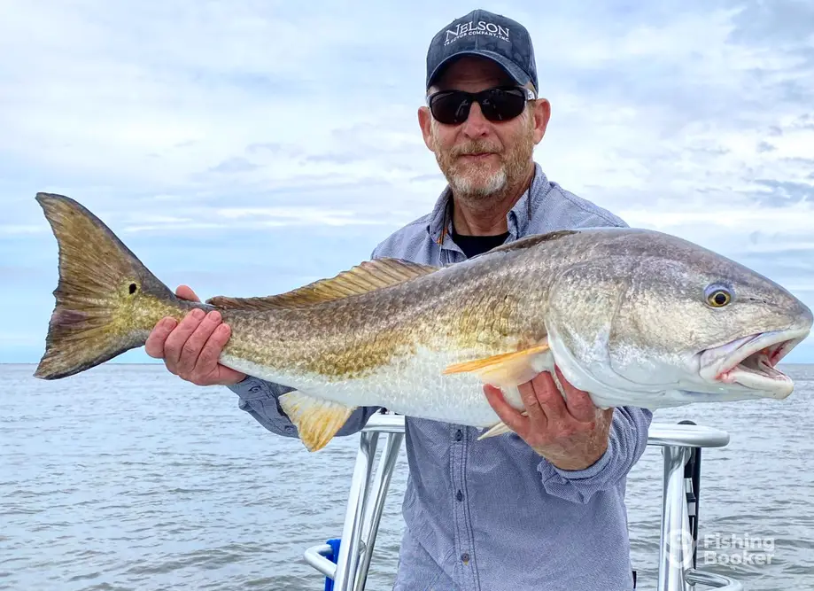Due South Fishing Expeditions charter image 6