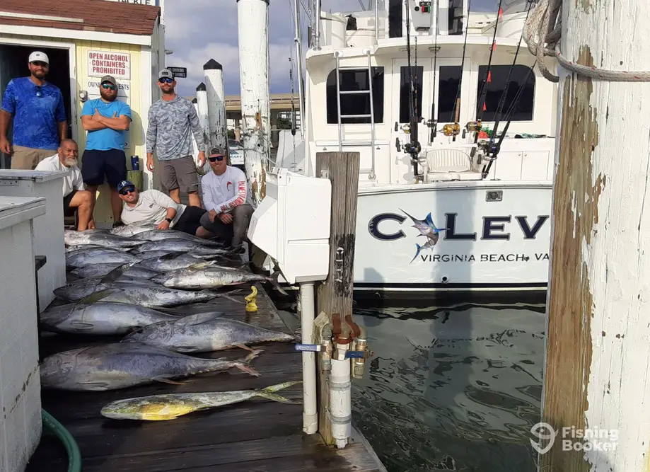 C Level Sportfishing – Wanchese charter image 2