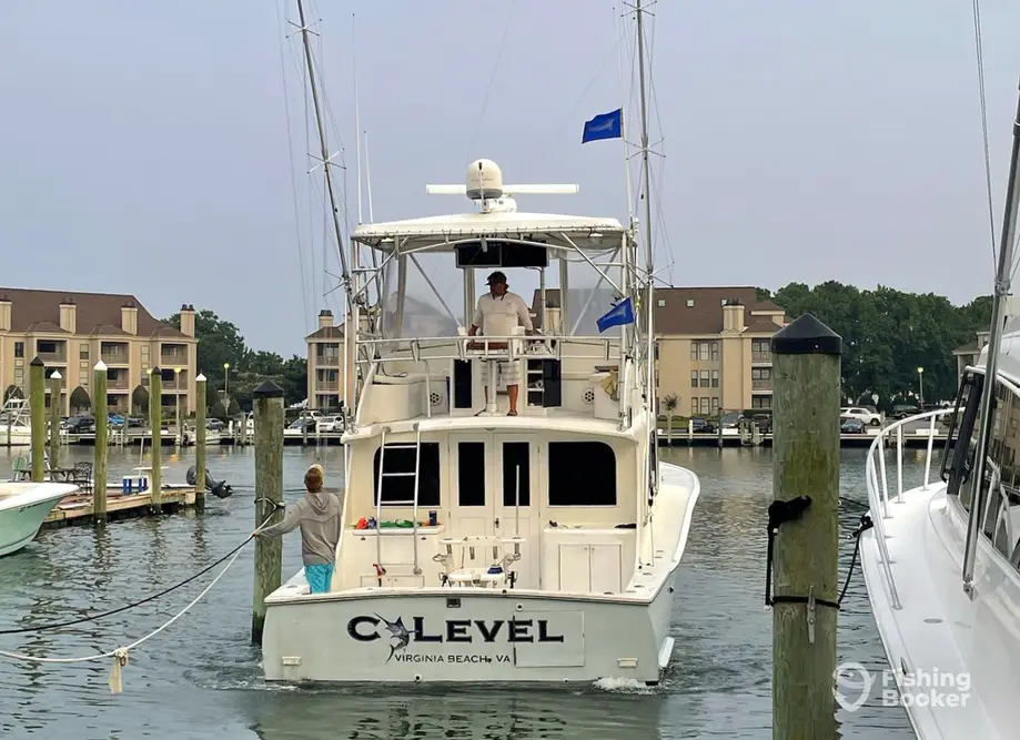 C Level Sportfishing – Wanchese charter image 4