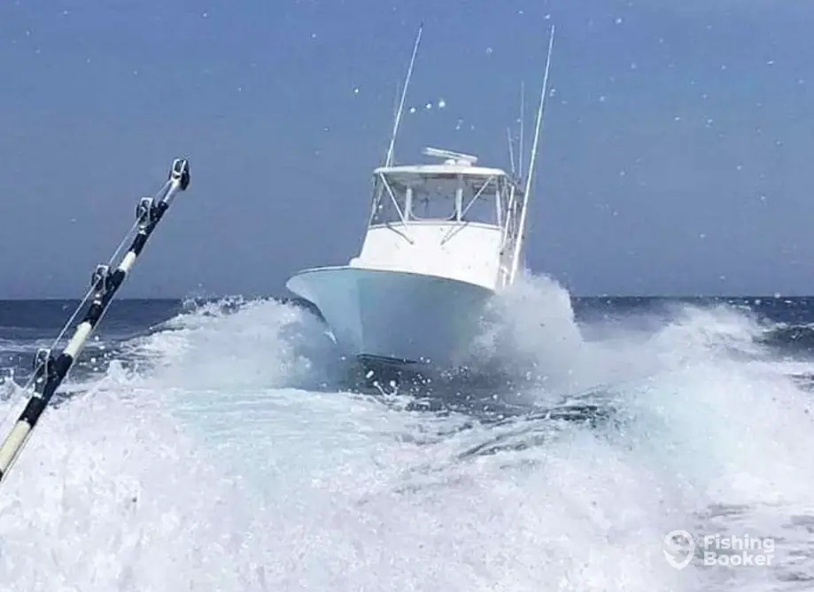 C Level Sportfishing – Wanchese charter image 5