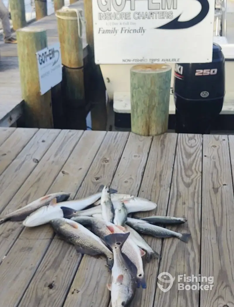 Got-em Charters charter image 2