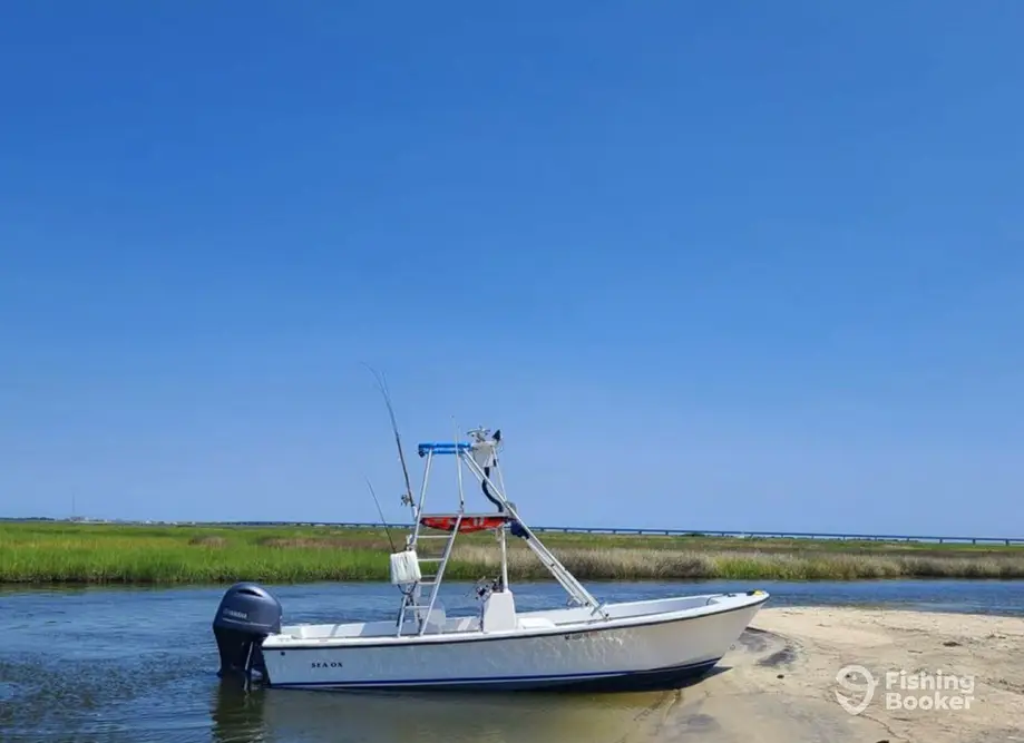 Reel Lucky OBX Charters
