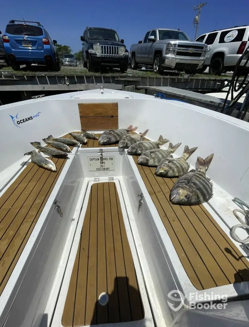 #1 Old North State Fishing  22’ HS charter image 3
