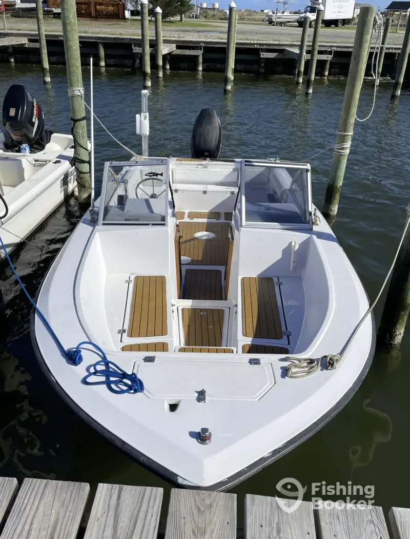#1 Old North State Fishing  22’ HS charter image 5
