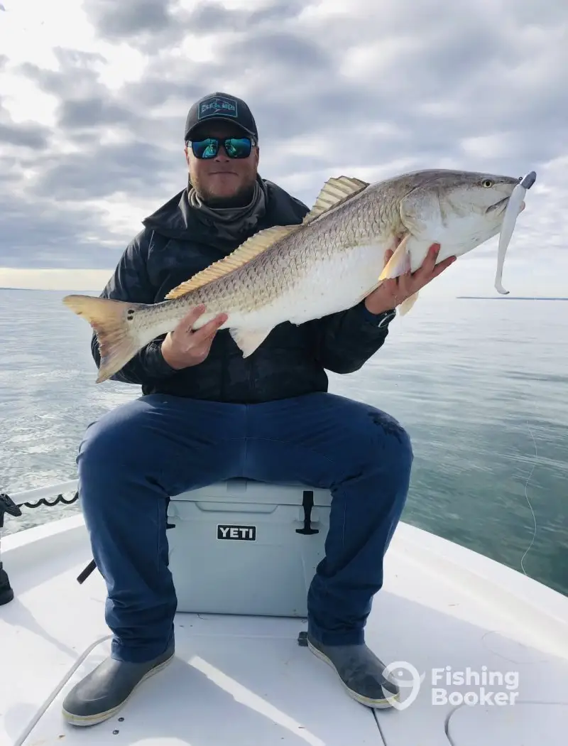 No Quarter Fishing