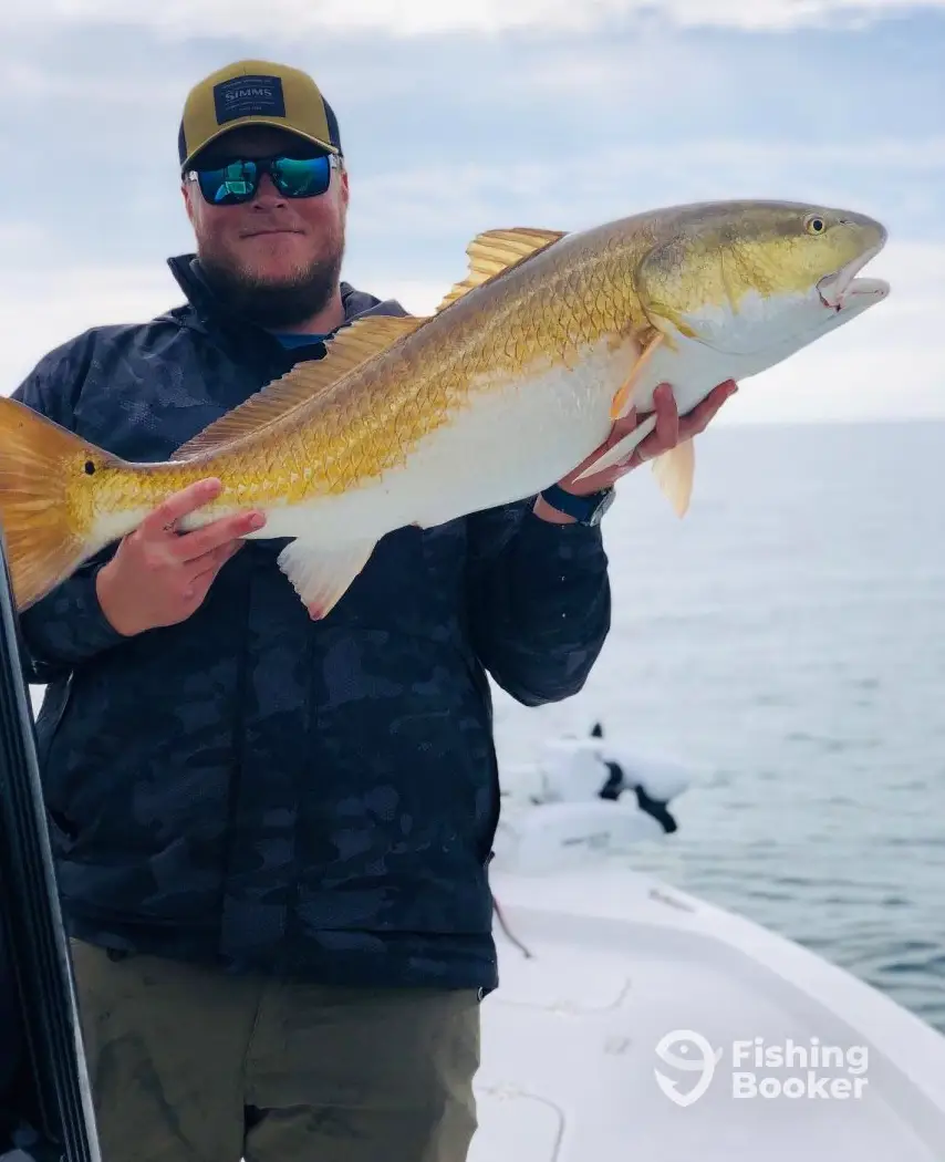 No Quarter Fishing charter image 6