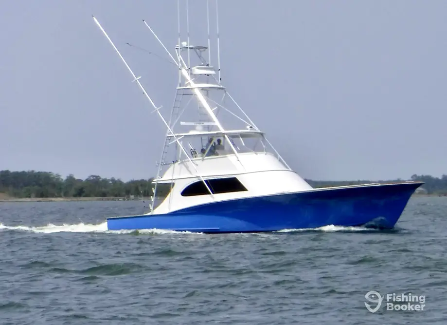 Alibi Adventures Sportfishing