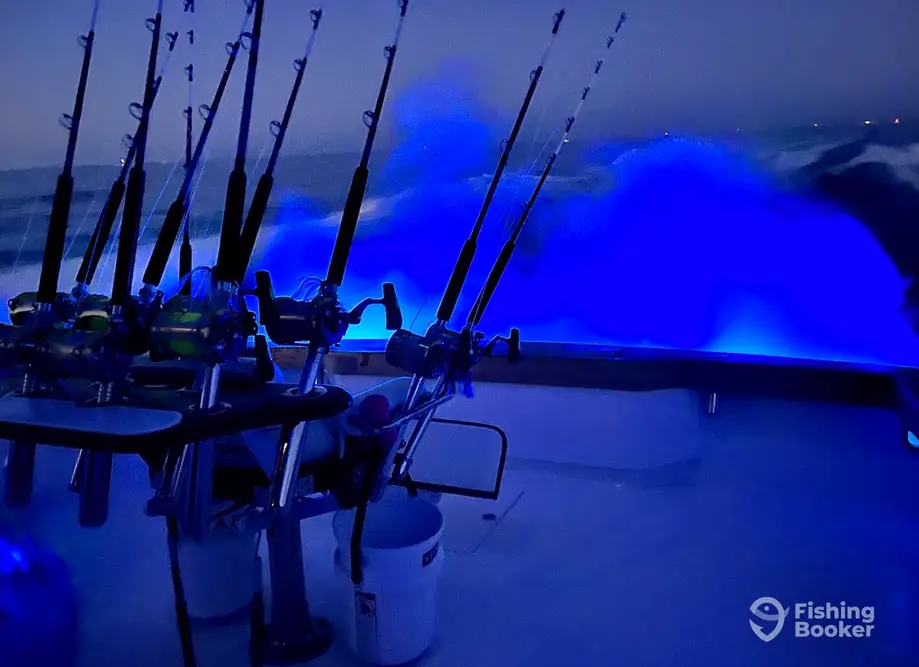 Alibi Adventures Sportfishing charter image 4