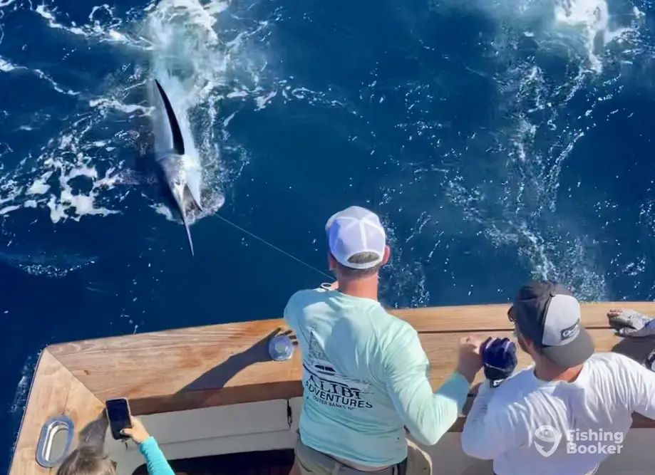 Alibi Adventures Sportfishing charter image 5
