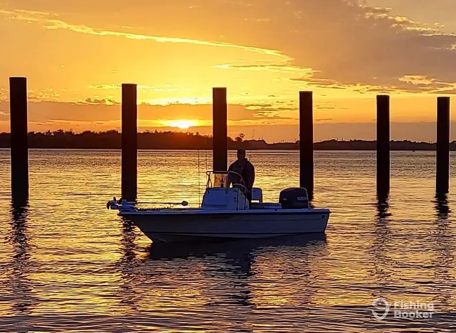 Happy Dog Charters