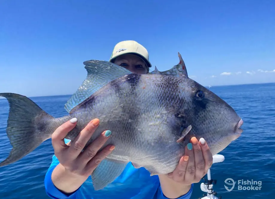 Straight Lines Fishing Llc