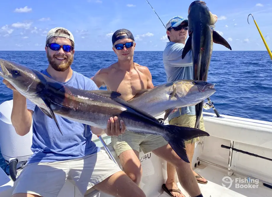 Still Playin Charters