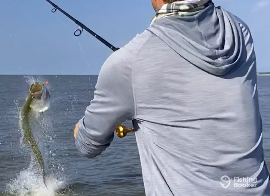 Still Playin Charters charter image 3