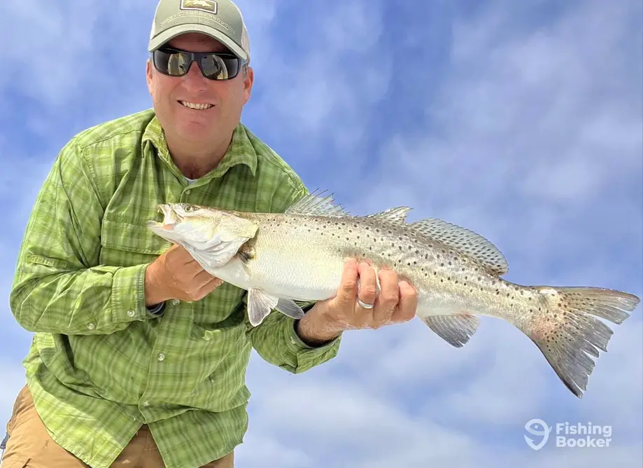 Absolut Fishing Charters