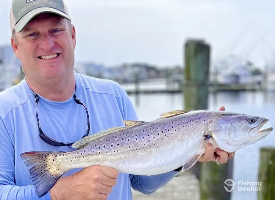 Absolut Fishing Charters charter image 4